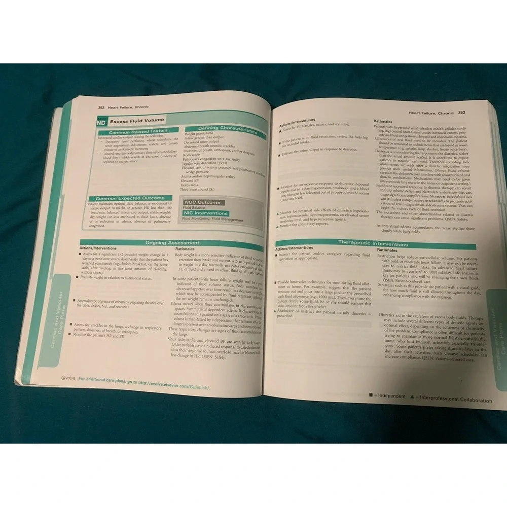 Elsevier Nursing Care Plans: Diagnoses, Interventions & Outcomes 9th Ed 2017 PB